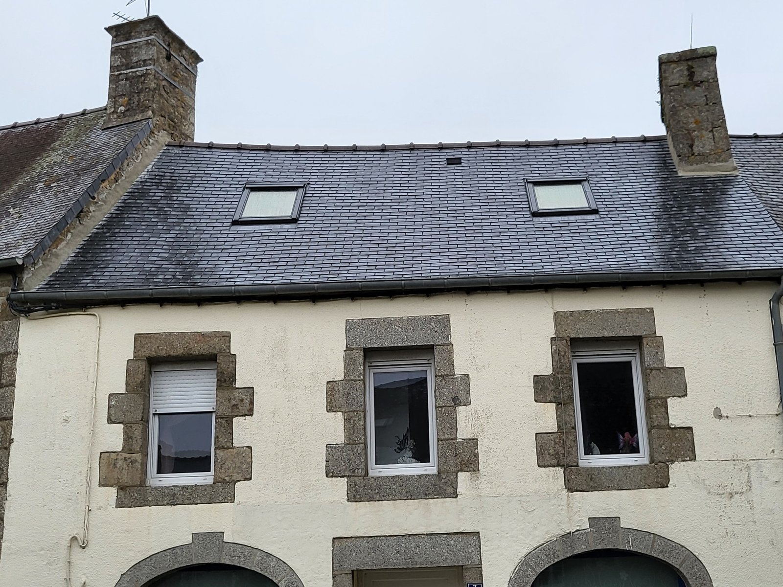 démoussage de toiture